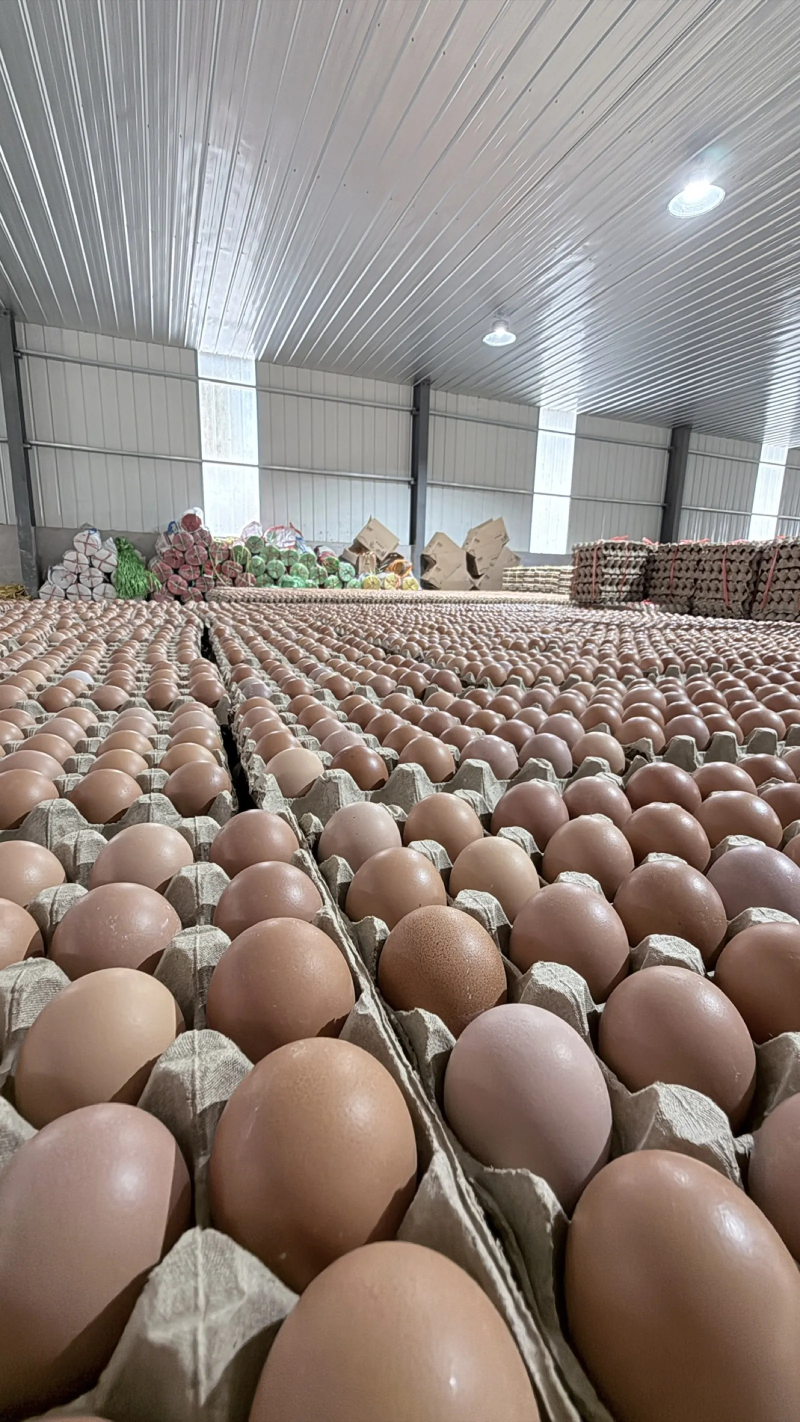 Eggs Lao fresh egg storage and stable supply capacity